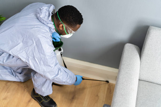 Best Fumigation Services  in Vista Santa Rosa, CA